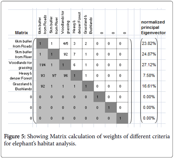 ecosystem-ecography-showing-matrix-calculation