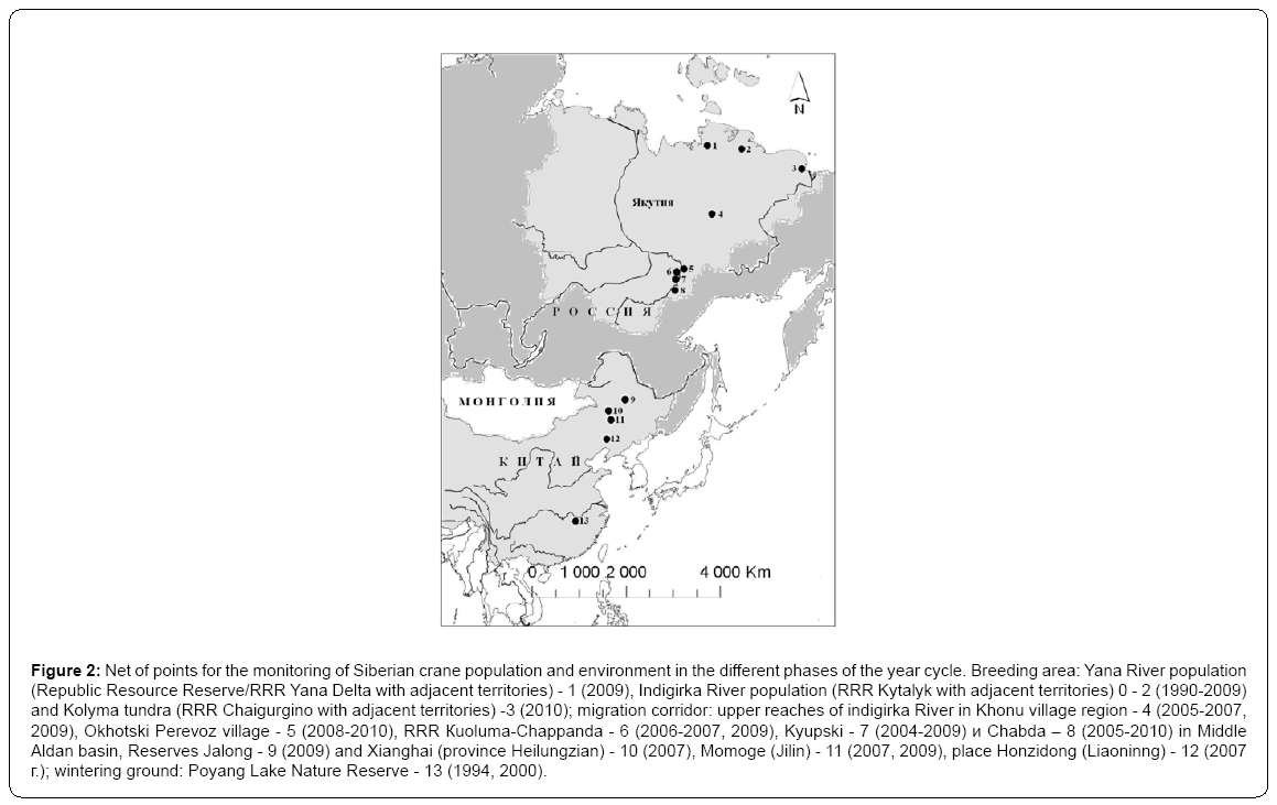 ecosystem-ecography-siberian-crane-population