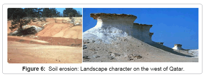 ecosystem-ecography-soil-erosion