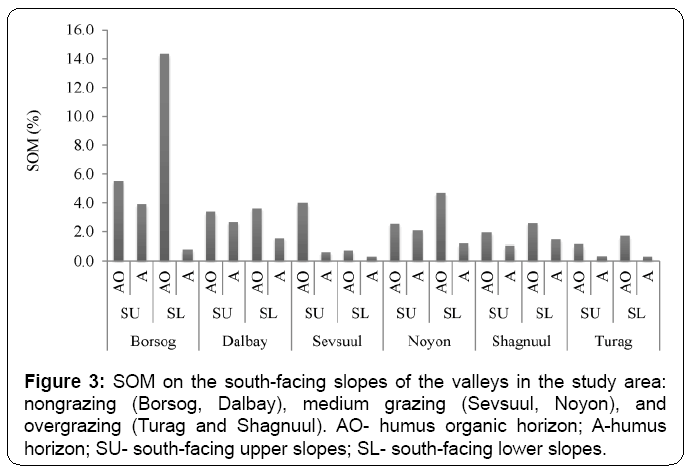 ecosystem-ecography-south-facing-slopes