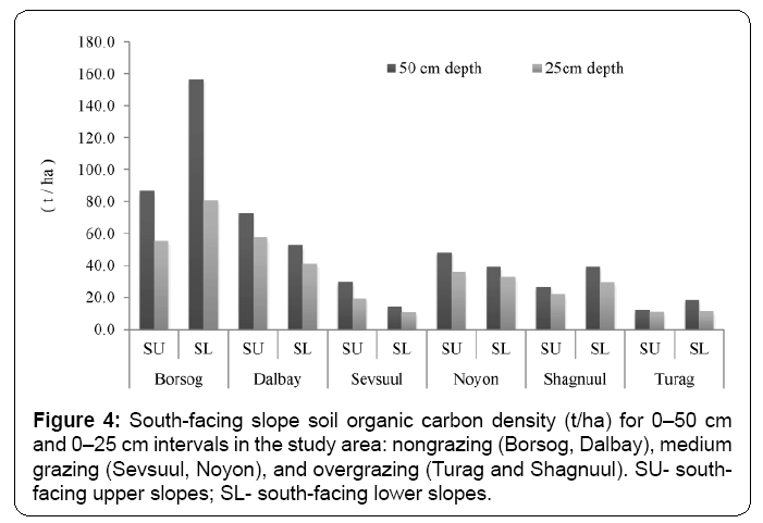 ecosystem-ecography-south-facing-slopes-soil