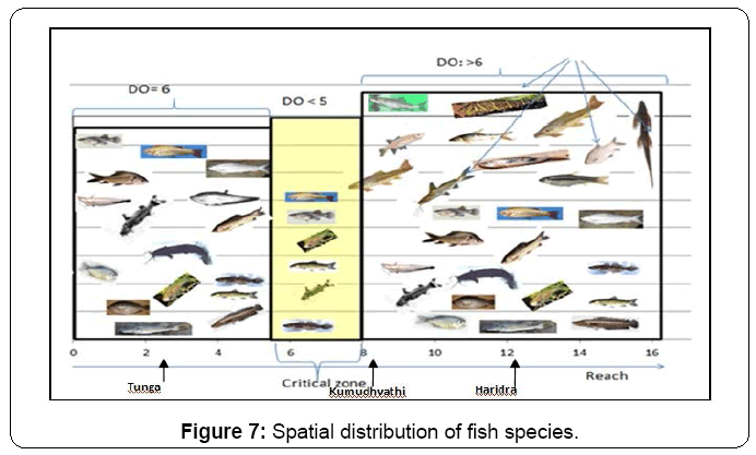 ecosystem-ecography-spatial-distribution