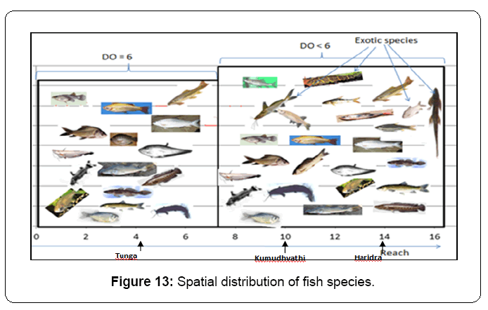 ecosystem-ecography-spatial-distribution