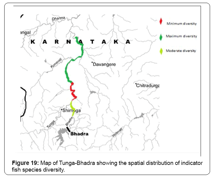 ecosystem-ecography-spatial-distribution-indicator