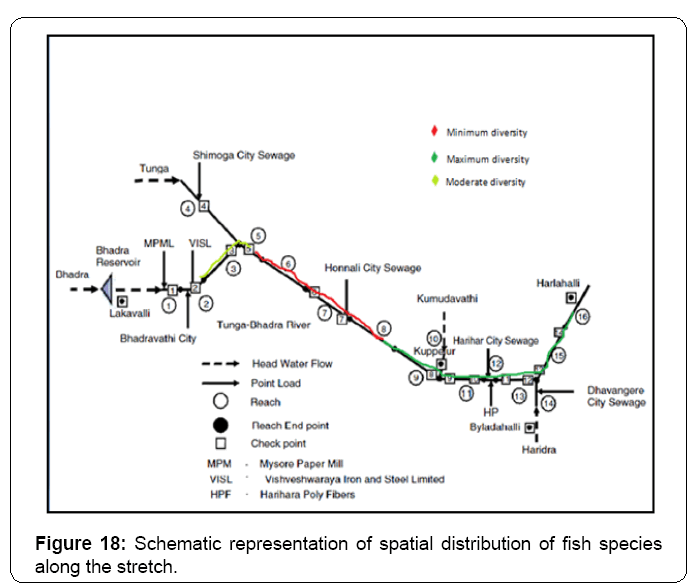 ecosystem-ecography-spatial-distribution-stretch
