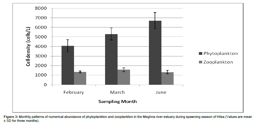 ecosystem-ecography-spawning-spawning-Hilsa