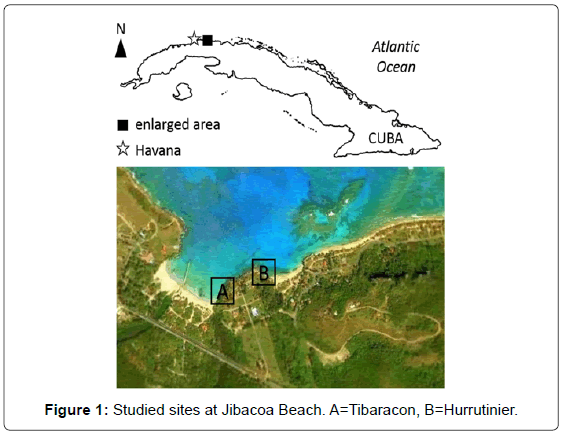 ecosystem-ecography-studied-sites-Jibacoa