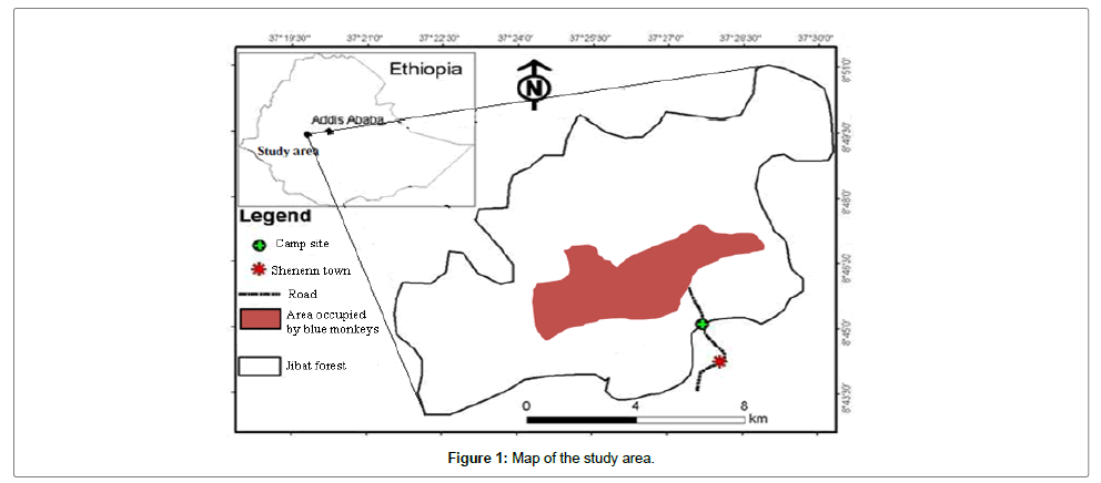 ecosystem-ecography-study