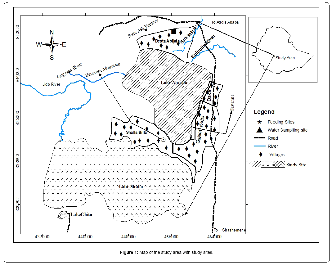 ecosystem-ecography-study-area-with-study-sites
