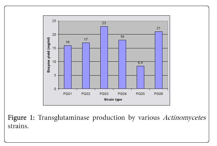 ecosystem-ecography-transglutaminase-production