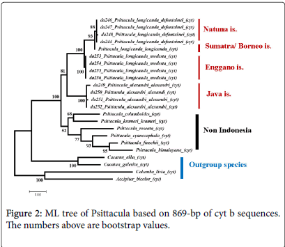 ecosystem-ecography-tree-Psittacula-sequences