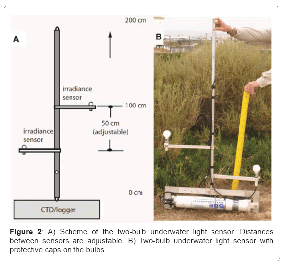 ecosystem-ecography-two-bulb-underwater