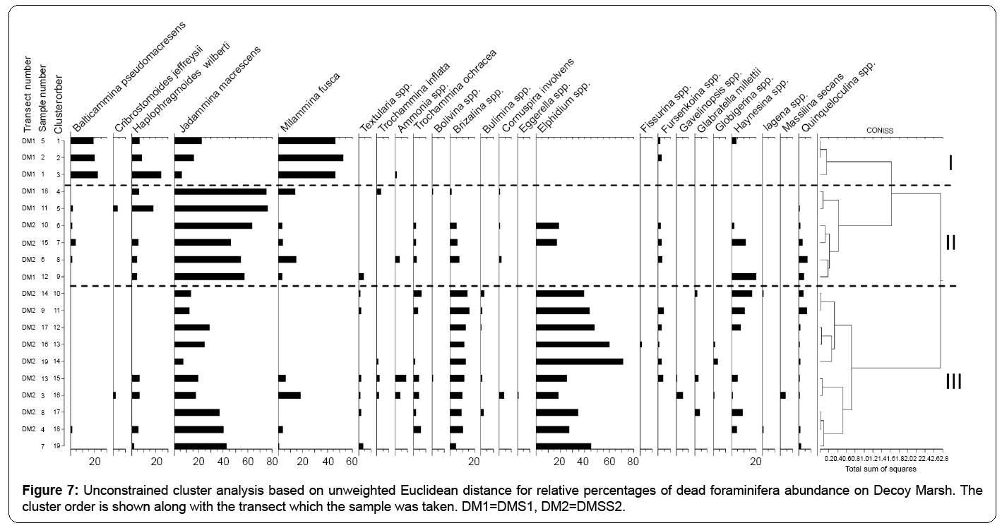 ecosystem-ecography-unconstrained-cluster