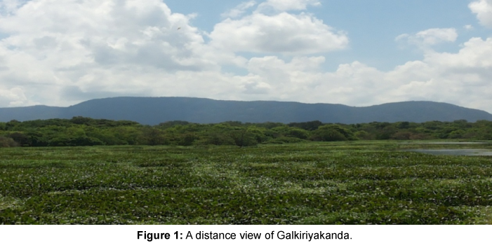 ecosystem-ecography-view-of-Galkiriyakanda