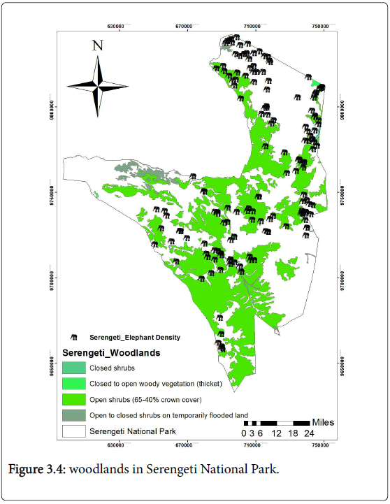 ecosystem-ecography-woodlands-serengeti