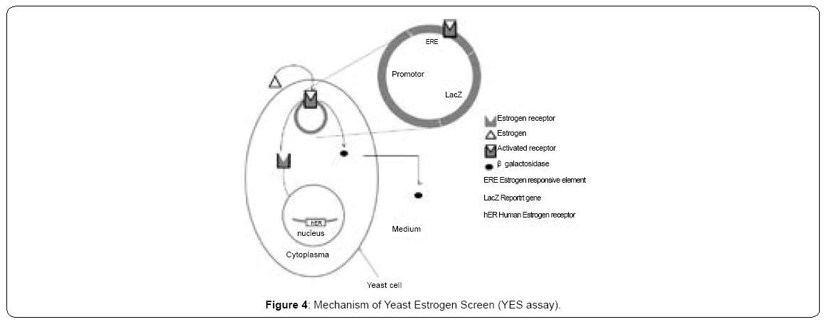 ecosystem-ecography-yeast-estrogen-screen