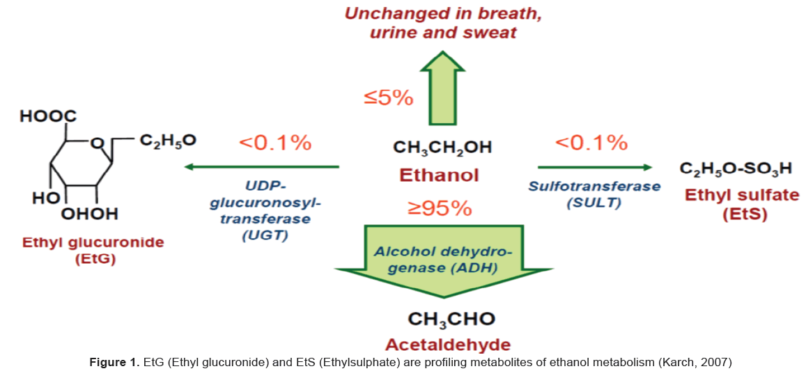 Ethyl Sulfate Levels Chart
