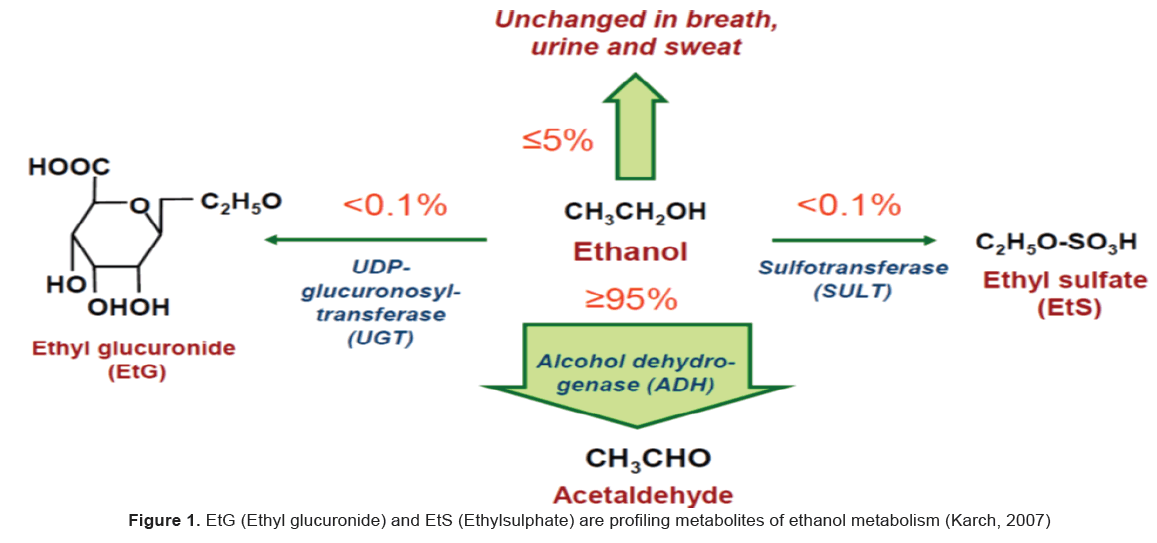 Etg Alcohol Test Charts