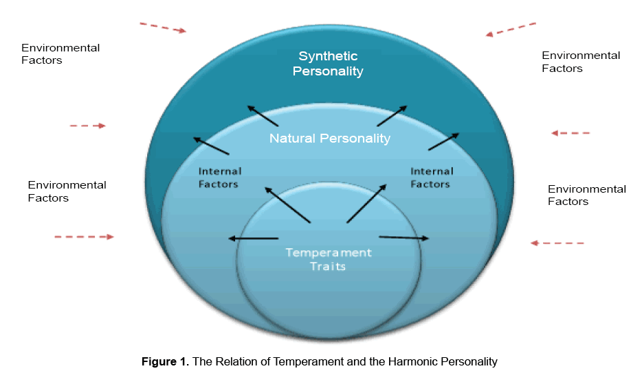 Risultati immagini per temperament character personality