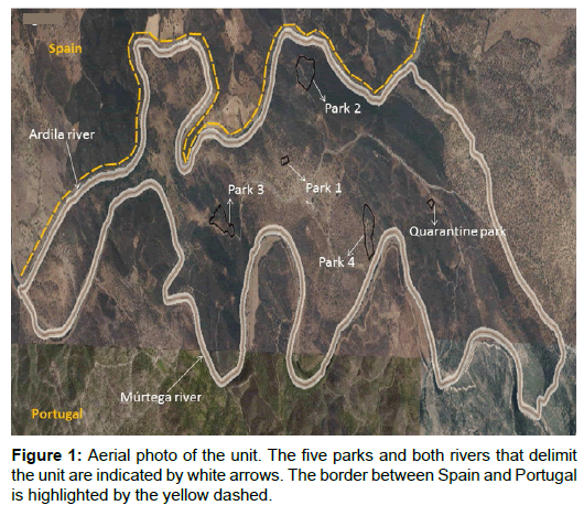 emerging-infectious-diseases-Aerial-photo