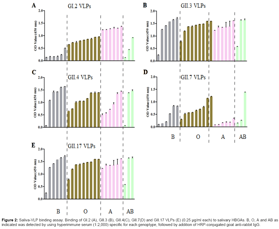 emerging-infectious-diseases-Saliva-VLP-binding-assay