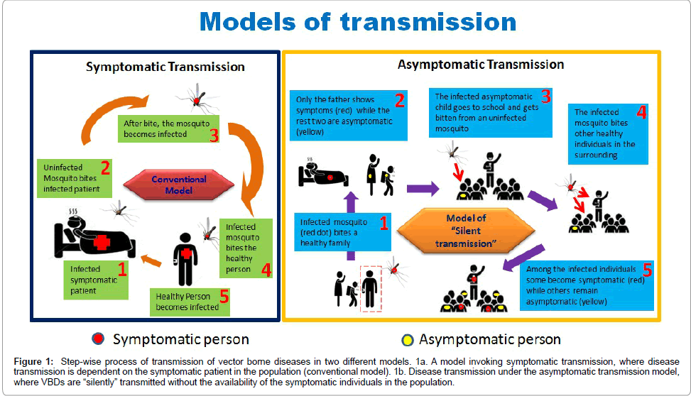 emerging-infectious-diseases-Step-wise-process