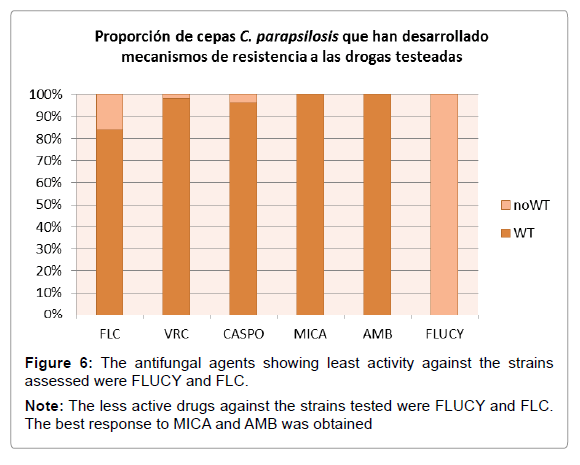 emerging-infectious-diseases-antifungal-agents