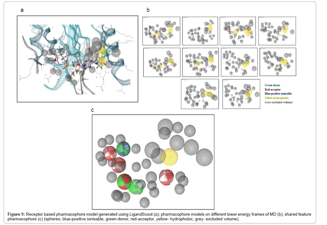emerging-infectious-diseases-receptor-based-pharmacophore