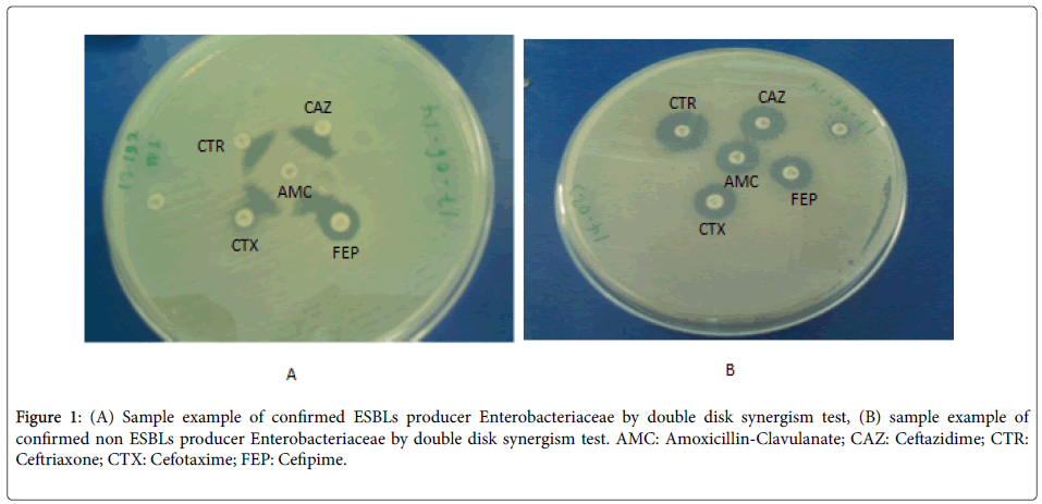 emerging-infectious-double-disk-synergism