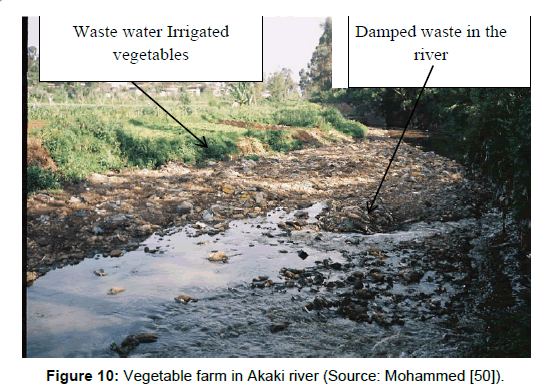 environment-pollution-Akaki-river