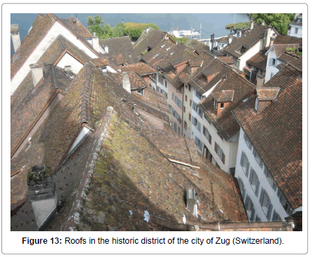 environment-pollution-historic-district