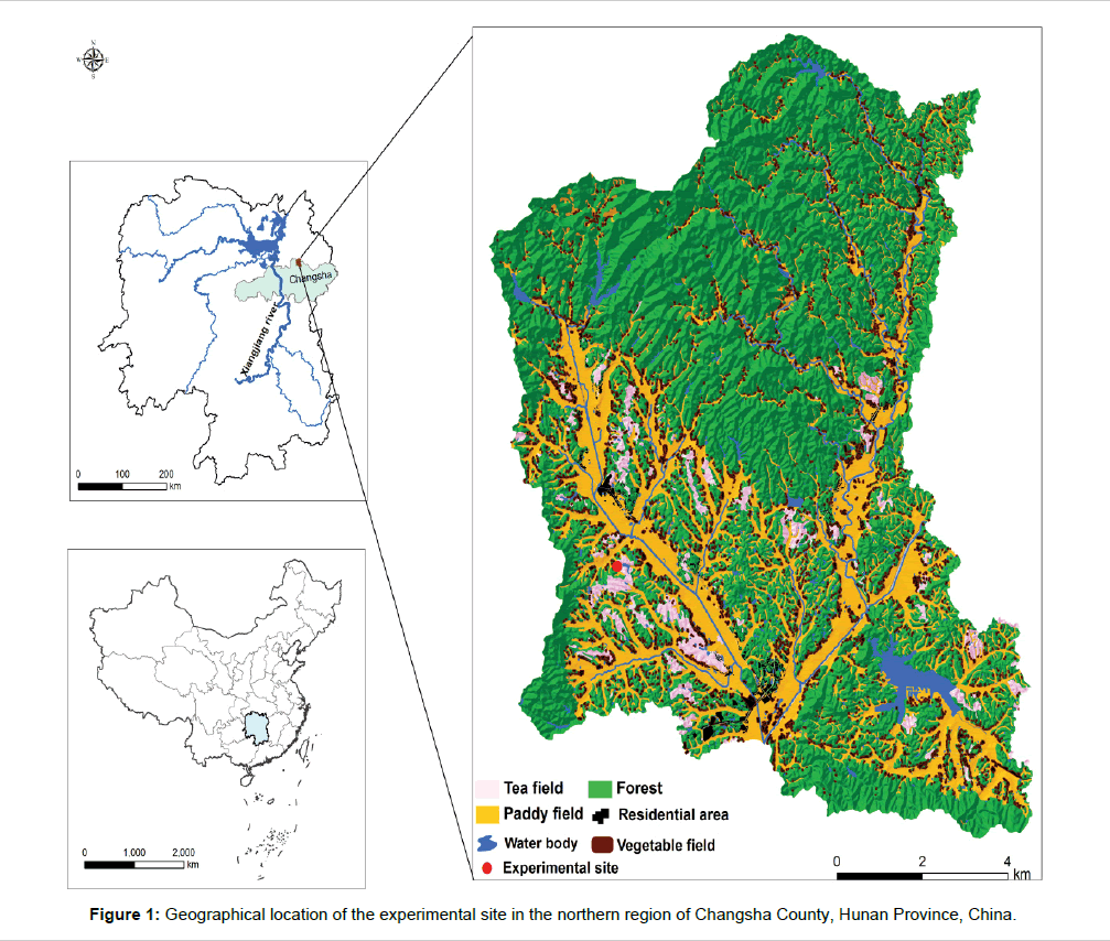 environment-pollution-northern-region