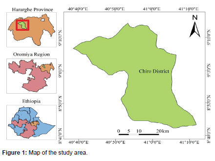 environment-pollution-study-area