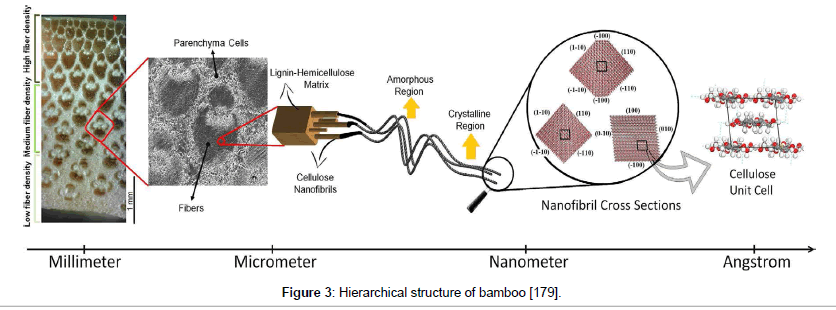Carbon dating decay ligning