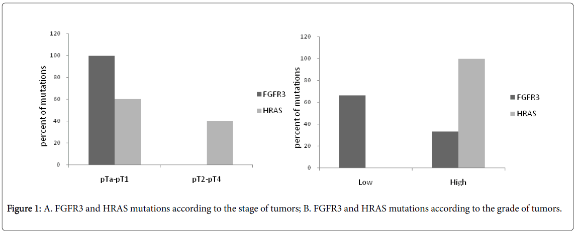 epidemiology-FGFR3-HRAS-mutations