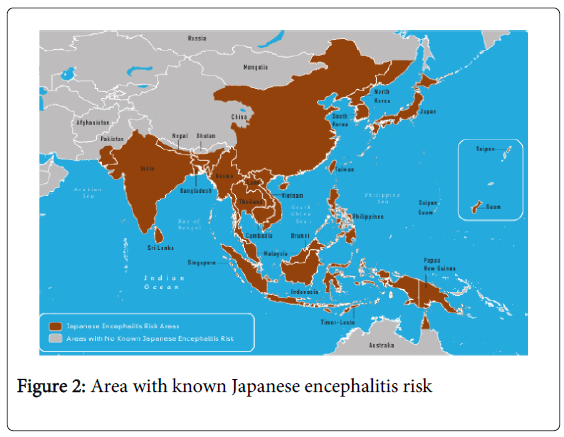 epidemiology-Japanese-encephalitis-risk