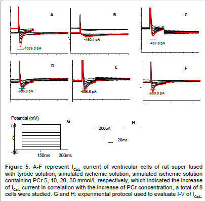experimental-therapeutics-ischemic-solution