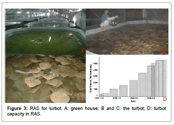 aquaponics farm in hyderabad - aquaponic