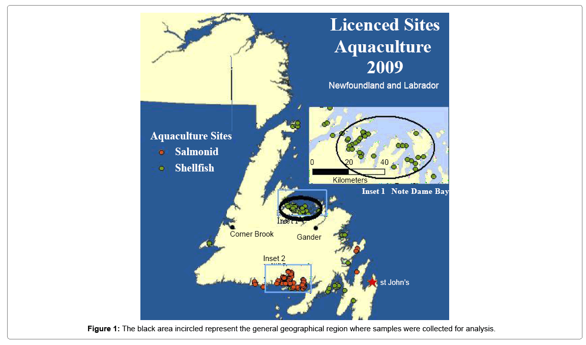 fisheries-livestock-geographical-region
