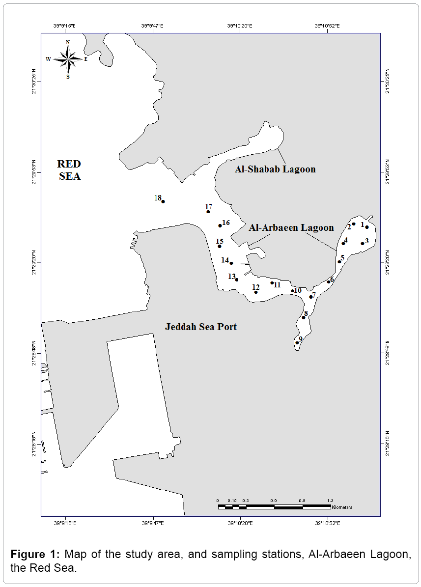 fisheries-livestock-production-Lagoon