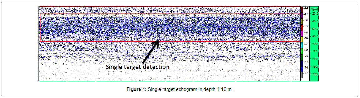 fisheries-livestock-production-Single-target-echogram