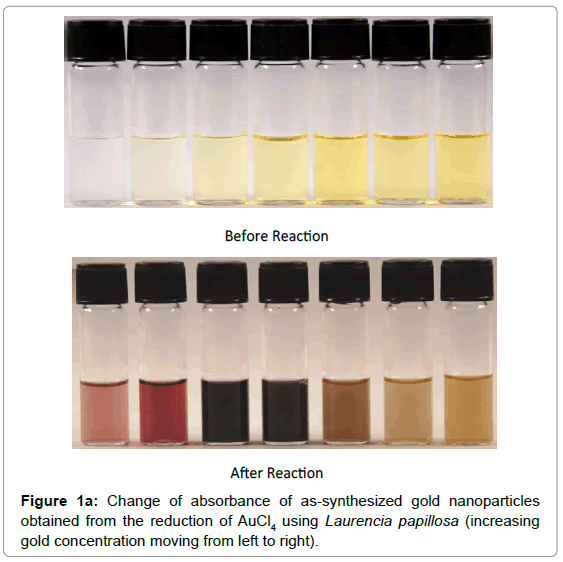 fisheries-livestock-production-absorbance