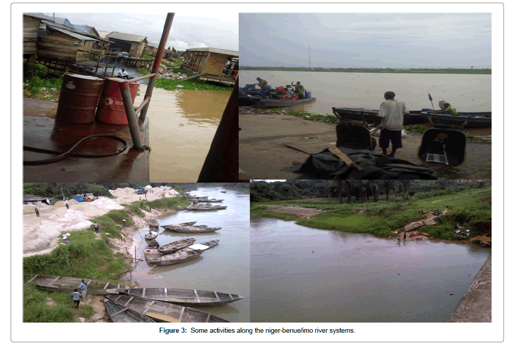 fisheries-livestock-production-activities