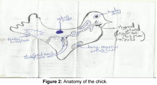 fisheries-livestock-production-anatomy