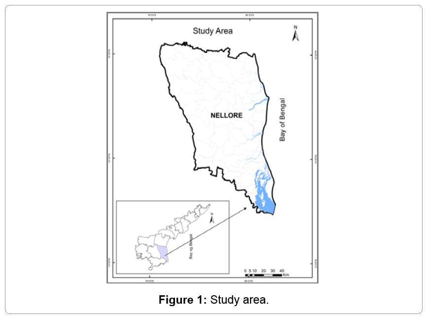 fisheries-livestock-production-area