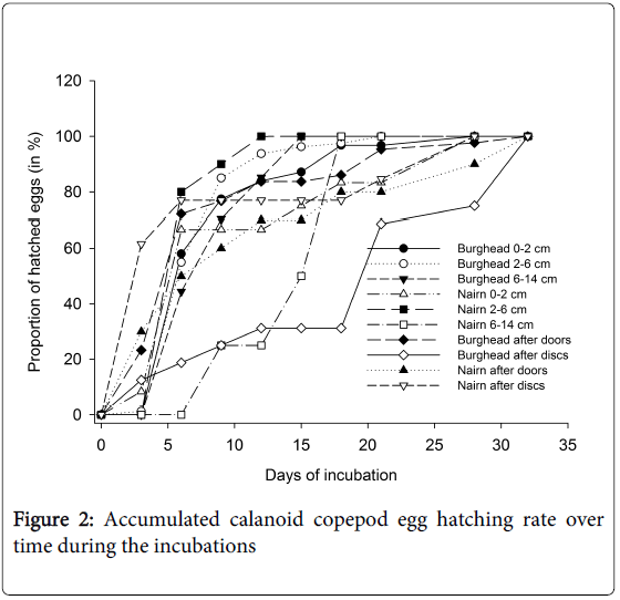 fisheries-livestock-production-calanoid-copepod-hatching
