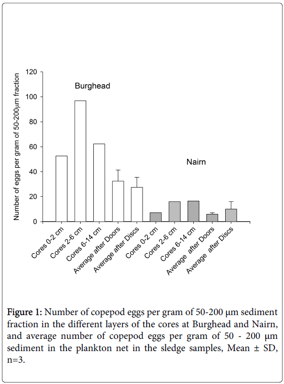 fisheries-livestock-production-copepod-eggs-gram