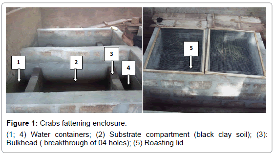 fisheries-livestock-production-crabs-fattening-enclosure