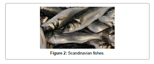 fisheries-livestock-production-fishes