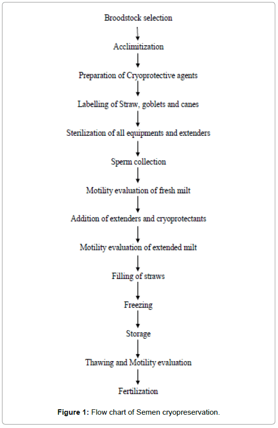 Catfish Growth Rate Chart